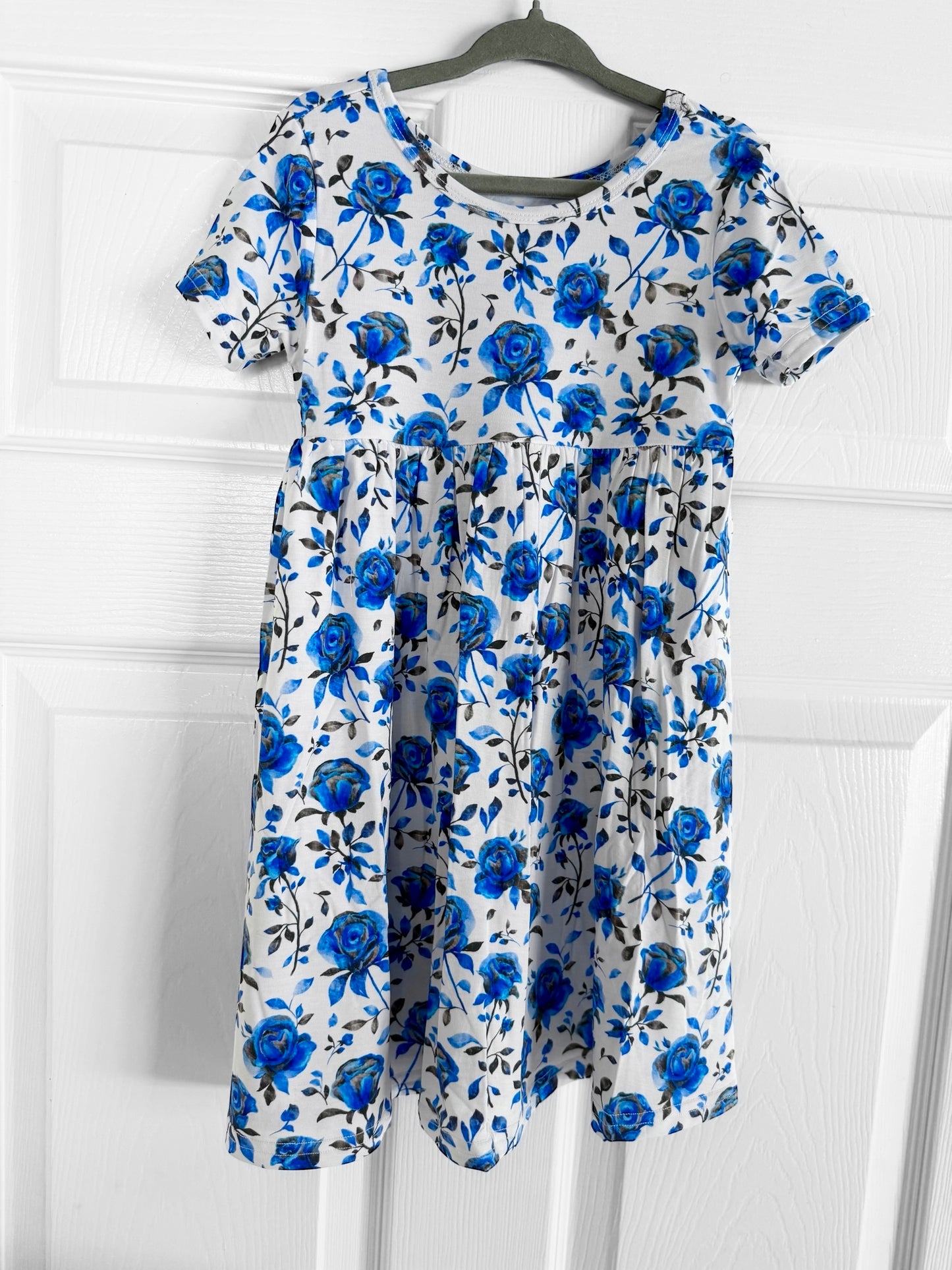 “Blue Line Roses” Twirl Dress